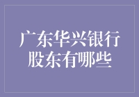 广东南粤银行与广东华兴银行：股东结构与市场定位