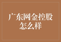 广东网金控股：在金融科技领域的探索与创新