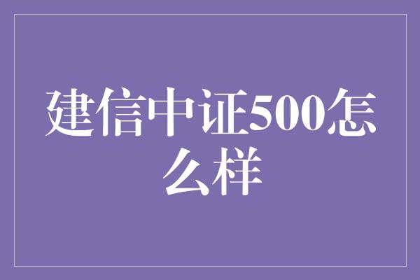 建信中证500怎么样