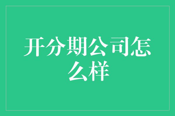 开分期公司怎么样