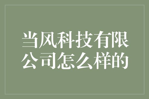 当风科技有限公司怎么样的