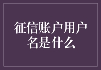 信用守护者：探索征信账户用户名的奥秘