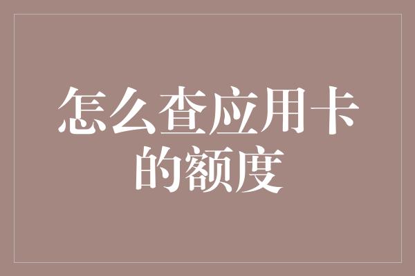 怎么查应用卡的额度