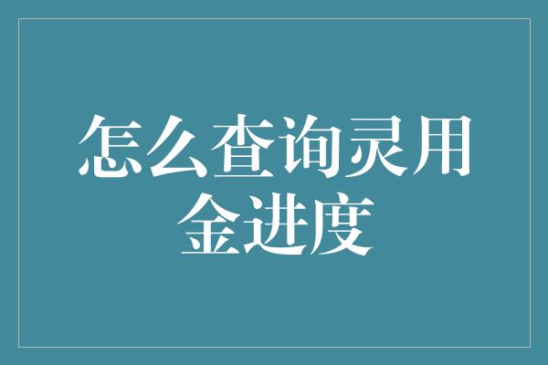 怎么查询灵用金进度