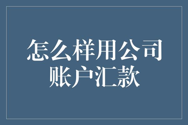 怎么样用公司账户汇款