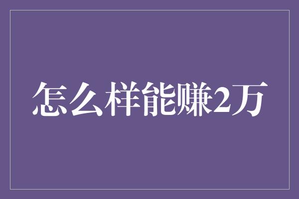 怎么样能赚2万