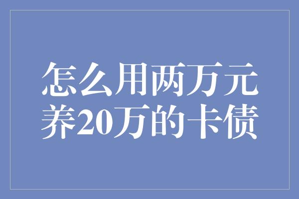 怎么用两万元养20万的卡债