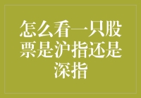 超实用攻略：怎么看一只股票是沪指还是深指？