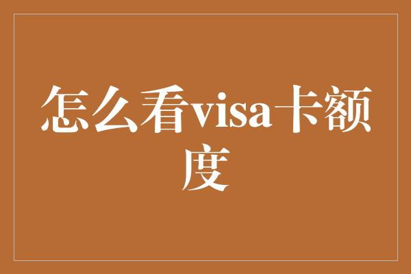 怎么看visa卡额度