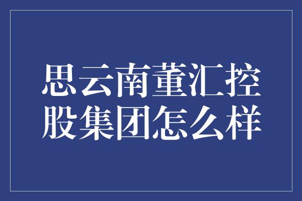 思云南董汇控股集团怎么样