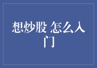 炒股新手的百味人生：从无到有的股市秘籍