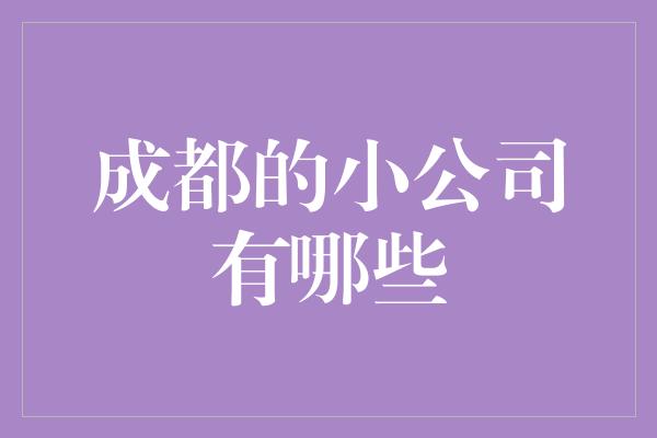 成都的小公司有哪些