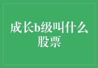 股票市场投资策略：解读成长B级股票的核心价值