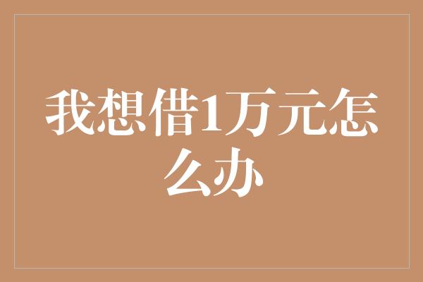 我想借1万元怎么办