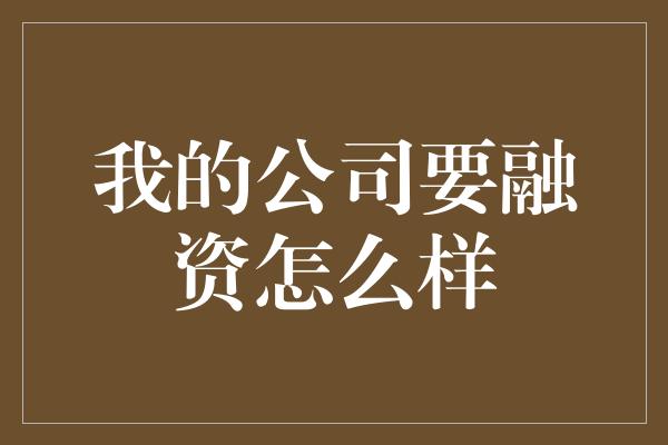 我的公司要融资怎么样