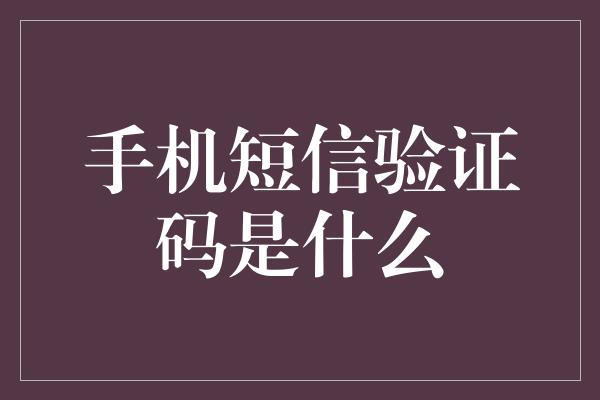 手机短信验证码是什么