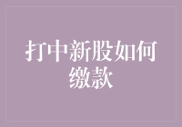 打中新股如何缴款：解析新股申购与缴款流程