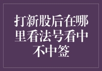 多元化视角下的新股申购与中签查询策略