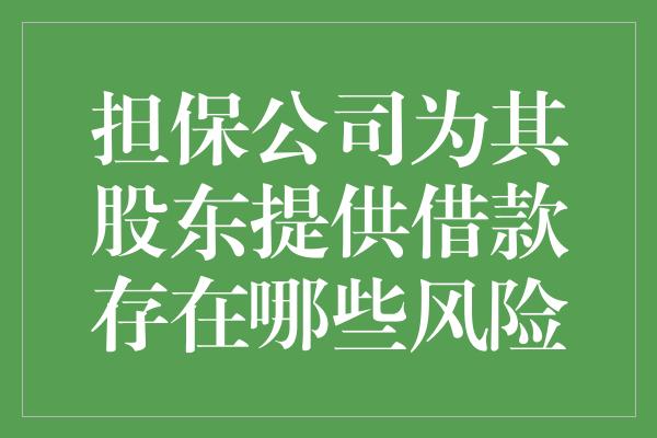 担保公司为其股东提供借款存在哪些风险