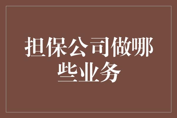 担保公司做哪些业务