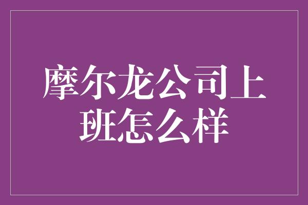 摩尔龙公司上班怎么样