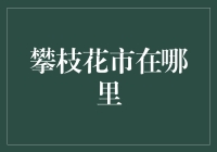 攀枝花市在哪里？不就是那个芒果比人还多的地方吗？