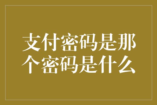 支付密码是那个密码是什么