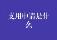 支用申请是什么：职场财税管理核心概念解析