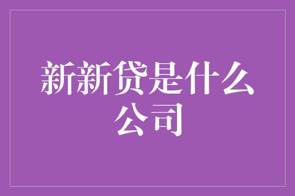 新新贷是什么公司