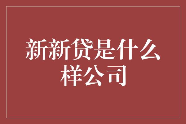 新新贷是什么样公司