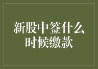 新股中签缴款攻略：如何优雅地为梦想插上翅膀？