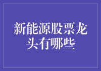 新能源股票龙头及其投资价值分析