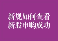 新规下如何查询新股申购成功的操作指南