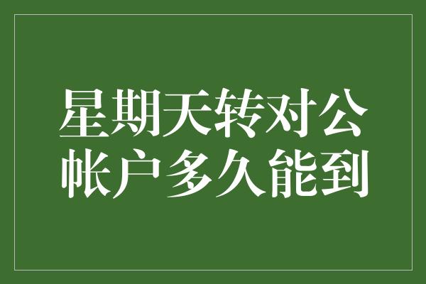 星期天转对公帐户多久能到