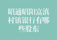 昭通昭阳富滇村镇银行的股东构成及其影响因素分析