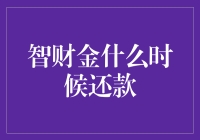 智财金：何时还款？你的财务智慧指南！