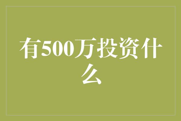 有500万投资什么