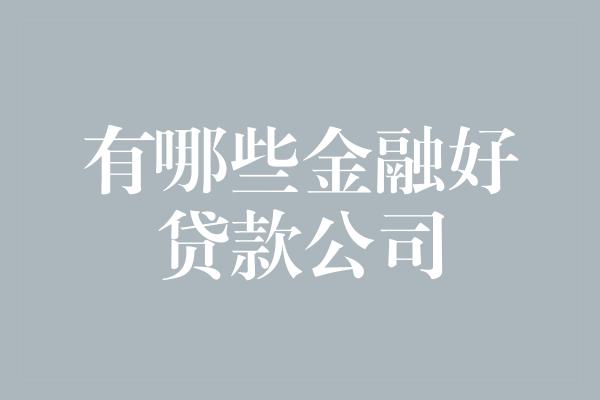 有哪些金融好贷款公司