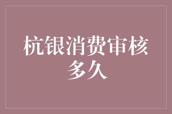 杭银消费审核多久