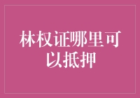 林权证哪里可以抵押，小树苗也能贷款啦！