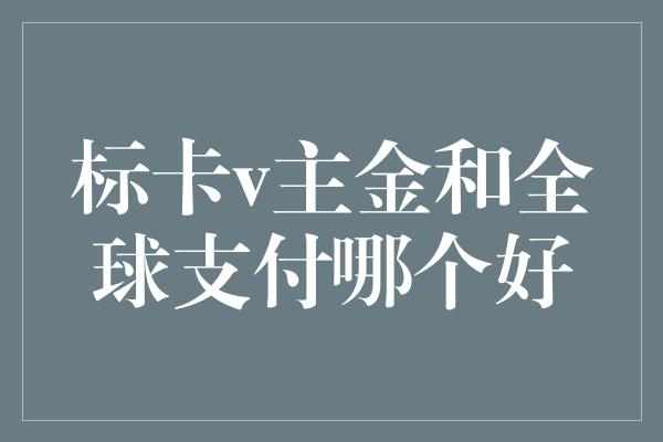 标卡v主金和全球支付哪个好