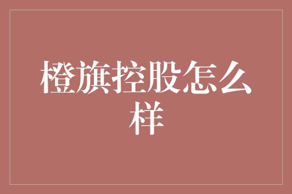 橙旗控股怎么样