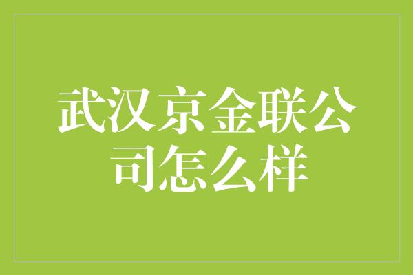 武汉京金联公司怎么样