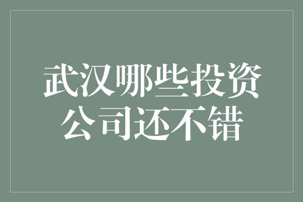 武汉哪些投资公司还不错