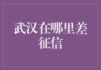 武汉征信修复：蓄势待发，重塑信用格局