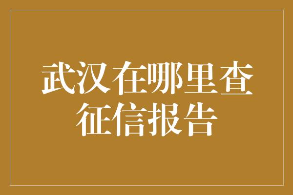 武汉在哪里查征信报告