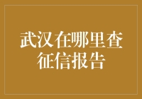 武汉市民如何便捷地查询个人征信报告？