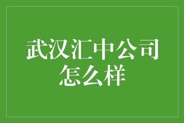 武汉汇中公司怎么样