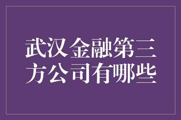 武汉金融第三方公司有哪些