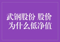 奇怪！武钢股份股价怎么就跑不过净值？